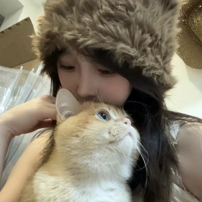 金式森林粤语
